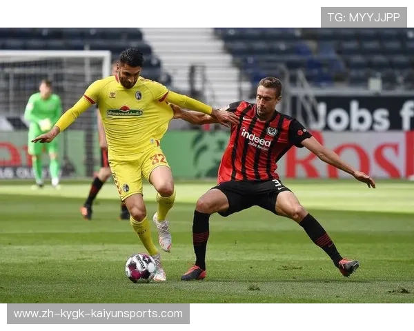 德甲联赛官方使用的比赛用球队与相关数据分析