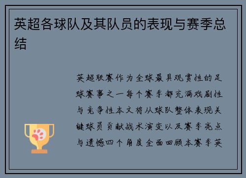 英超各球队及其队员的表现与赛季总结