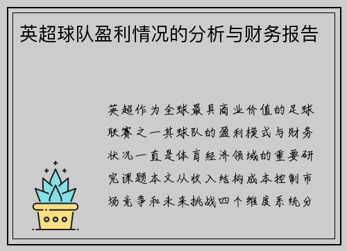 英超球队盈利情况的分析与财务报告
